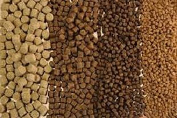 فروش غذا ماهی